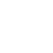 Instagram-Werbung und Ads